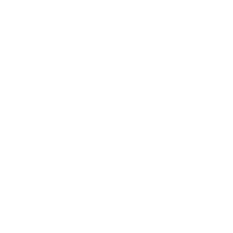 Budget-Friendly Options